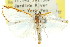  ( - 11ANIC-04047)  @12 [ ] CreativeCommons - Attribution (2011) ANIC/CBG Photography Group Centre for Biodiversity Genomics