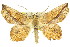  ( - 11ANIC-04132)  @14 [ ] CreativeCommons - Attribution (2011) ANIC/CBG Photography Group Centre for Biodiversity Genomics