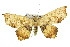  ( - 11ANIC-04135)  @14 [ ] CreativeCommons - Attribution (2011) ANIC/CBG Photography Group Centre for Biodiversity Genomics