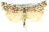  ( - 11ANIC-04272)  @14 [ ] CreativeCommons - Attribution (2011) ANIC/CBG Photography Group Centre for Biodiversity Genomics