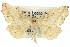  ( - 11ANIC-04281)  @11 [ ] CreativeCommons - Attribution (2011) ANIC/CBG Photography Group Centre for Biodiversity Genomics