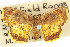  ( - 11ANIC-04296)  @11 [ ] CreativeCommons - Attribution (2011) ANIC/CBG Photography Group Centre for Biodiversity Genomics