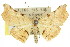  ( - 11ANIC-04308)  @11 [ ] CreativeCommons - Attribution (2011) ANIC/CBG Photography Group Centre for Biodiversity Genomics