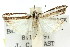  ( - 11ANIC-04514)  @11 [ ] CreativeCommons - Attribution (2011) ANIC/CBG Photography Group Centre for Biodiversity Genomics