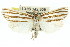  ( - 11ANIC-04555)  @13 [ ] CreativeCommons - Attribution (2011) ANIC/CBG Photography Group Centre for Biodiversity Genomics