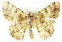  ( - 11ANIC-04605)  @11 [ ] CreativeCommons - Attribution (2011) ANIC/CBG Photography Group Centre for Biodiversity Genomics
