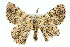  ( - 11ANIC-04606)  @13 [ ] CreativeCommons - Attribution (2011) ANIC/CBG Photography Group Centre for Biodiversity Genomics
