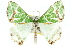  (Chlorodes - 11ANIC-04963)  @14 [ ] CreativeCommons - Attribution (2011) ANIC/CBG Photography Group Centre for Biodiversity Genomics