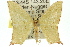  ( - 11ANIC-05179)  @11 [ ] CreativeCommons - Attribution (2011) ANIC/CBG Photography Group Centre for Biodiversity Genomics