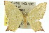  ( - 11ANIC-05180)  @14 [ ] CreativeCommons - Attribution (2011) ANIC/CBG Photography Group Centre for Biodiversity Genomics