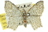  ( - 11ANIC-05186)  @11 [ ] CreativeCommons - Attribution (2011) ANIC/CBG Photography Group Centre for Biodiversity Genomics