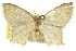  ( - 11ANIC-05187)  @13 [ ] CreativeCommons - Attribution (2011) ANIC/CBG Photography Group Centre for Biodiversity Genomics