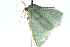  ( - 11ANIC-05214)  @12 [ ] CreativeCommons - Attribution (2011) ANIC/CBG Photography Group Centre for Biodiversity Genomics