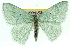  ( - 11ANIC-05348)  @11 [ ] CreativeCommons - Attribution (2011) ANIC/CBG Photography Group Centre for Biodiversity Genomics