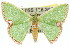  ( - 11ANIC-05380)  @15 [ ] CreativeCommons - Attribution (2011) ANIC/CBG Photography Group Centre for Biodiversity Genomics