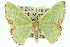  ( - 11ANIC-05382)  @15 [ ] CreativeCommons - Attribution (2011) ANIC/CBG Photography Group Centre for Biodiversity Genomics