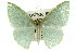  ( - 11ANIC-05413)  @14 [ ] CreativeCommons - Attribution (2011) ANIC/CBG Photography Group Centre for Biodiversity Genomics