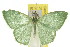  ( - 11ANIC-05445)  @11 [ ] CreativeCommons - Attribution (2011) ANIC/CBG Photography Group Centre for Biodiversity Genomics