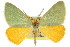  ( - 11ANIC-05461)  @11 [ ] CreativeCommons - Attribution (2011) ANIC/CBG Photography Group Centre for Biodiversity Genomics
