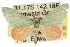  (Idiochroa demissa - 11ANIC-05465)  @14 [ ] CreativeCommons - Attribution (2011) ANIC/CBG Photography Group Centre for Biodiversity Genomics