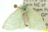  ( - 11ANIC-05498)  @13 [ ] CreativeCommons - Attribution (2011) ANIC/CBG Photography Group Centre for Biodiversity Genomics