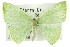  ( - 11ANIC-05631)  @11 [ ] CreativeCommons - Attribution (2011) ANIC/CBG Photography Group Centre for Biodiversity Genomics