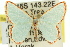  ( - 11ANIC-05636)  @13 [ ] CreativeCommons - Attribution (2011) ANIC/CBG Photography Group Centre for Biodiversity Genomics