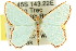  ( - 11ANIC-05640)  @14 [ ] CreativeCommons - Attribution (2011) ANIC/CBG Photography Group Centre for Biodiversity Genomics