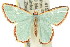  ( - 11ANIC-05641)  @14 [ ] CreativeCommons - Attribution (2011) ANIC/CBG Photography Group Centre for Biodiversity Genomics