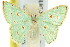  ( - 11ANIC-05652)  @14 [ ] CreativeCommons - Attribution (2011) ANIC/CBG Photography Group Centre for Biodiversity Genomics
