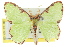  ( - 11ANIC-05677)  @14 [ ] CreativeCommons - Attribution (2011) ANIC/CBG Photography Group Centre for Biodiversity Genomics