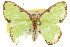  ( - 11ANIC-05679)  @14 [ ] CreativeCommons - Attribution (2011) ANIC/CBG Photography Group Centre for Biodiversity Genomics