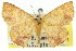  ( - 11ANIC-05736)  @11 [ ] CreativeCommons - Attribution (2011) ANIC/CBG Photography Group Centre for Biodiversity Genomics