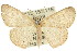  ( - 11ANIC-05742)  @14 [ ] CreativeCommons - Attribution (2011) ANIC/CBG Photography Group Centre for Biodiversity Genomics