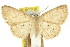  ( - 11ANIC-05754)  @11 [ ] CreativeCommons - Attribution (2011) ANIC/CBG Photography Group Centre for Biodiversity Genomics