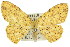  ( - 11ANIC-05768)  @11 [ ] CreativeCommons - Attribution (2011) ANIC/CBG Photography Group Centre for Biodiversity Genomics