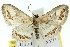  ( - 11ANIC-05791)  @14 [ ] CreativeCommons - Attribution (2011) ANIC/CBG Photography Group Centre for Biodiversity Genomics