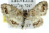  ( - 11ANIC-05792)  @13 [ ] CreativeCommons - Attribution (2011) ANIC/CBG Photography Group Centre for Biodiversity Genomics
