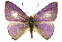  ( - 11ANIC-05825)  @11 [ ] CreativeCommons - Attribution (2011) ANIC/CBG Photography Group Centre for Biodiversity Genomics