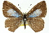  ( - 11ANIC-05841)  @11 [ ] CreativeCommons - Attribution (2011) ANIC/CBG Photography Group Centre for Biodiversity Genomics