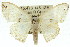  ( - 11ANIC-05910)  @14 [ ] CreativeCommons - Attribution (2011) ANIC/CBG Photography Group Centre for Biodiversity Genomics