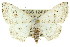  ( - 11ANIC-05926)  @14 [ ] CreativeCommons - Attribution (2011) ANIC/CBG Photography Group Centre for Biodiversity Genomics