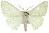  ( - 11ANIC-05933)  @11 [ ] CreativeCommons - Attribution (2011) ANIC/CBG Photography Group Centre for Biodiversity Genomics