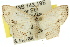 ( - 11ANIC-05999)  @14 [ ] CreativeCommons - Attribution (2011) ANIC/CBG Photography Group Centre for Biodiversity Genomics