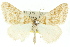  ( - 11ANIC-06453)  @11 [ ] CreativeCommons - Attribution (2011) ANIC/CBG Photography Group Centre for Biodiversity Genomics