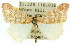  ( - 11ANIC-06462)  @11 [ ] CreativeCommons - Attribution (2011) ANIC/CBG Photography Group Centre for Biodiversity Genomics