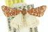  (Notiosterrha sp. ANIC2 - 11ANIC-06475)  @14 [ ] CreativeCommons - Attribution (2011) ANIC/CBG Photography Group Centre for Biodiversity Genomics