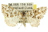  ( - 11ANIC-06508)  @14 [ ] CreativeCommons - Attribution (2011) ANIC/CBG Photography Group Centre for Biodiversity Genomics