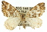  ( - 11ANIC-06513)  @14 [ ] CreativeCommons - Attribution (2011) ANIC/CBG Photography Group Centre for Biodiversity Genomics