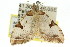  ( - 11ANIC-06514)  @11 [ ] CreativeCommons - Attribution (2011) ANIC/CBG Photography Group Centre for Biodiversity Genomics